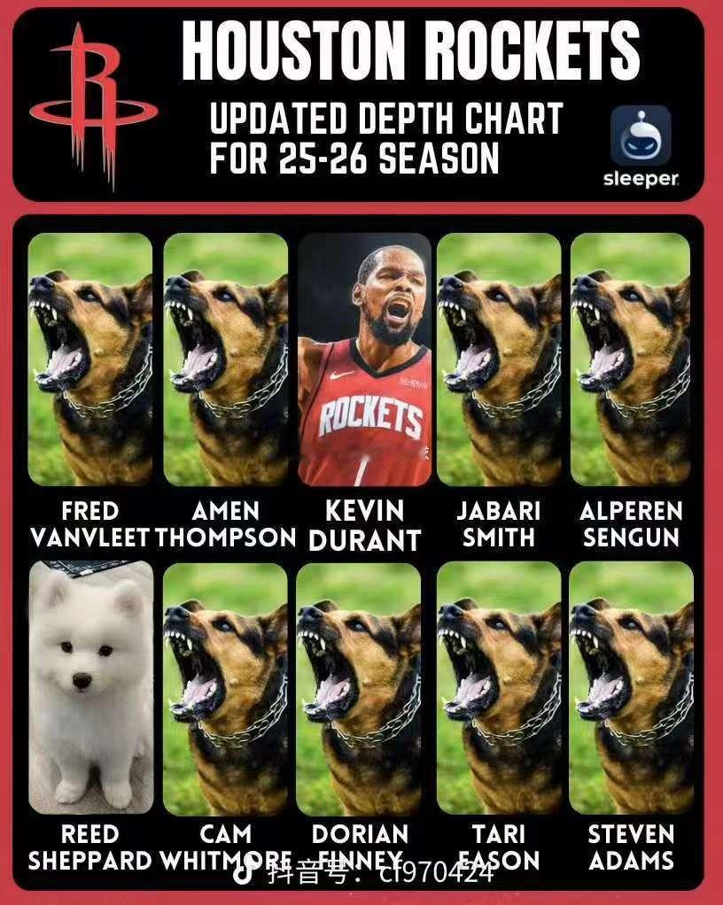 又想起这张图了，谁现在还敢说我谢是博美！！谁说咬死谁…