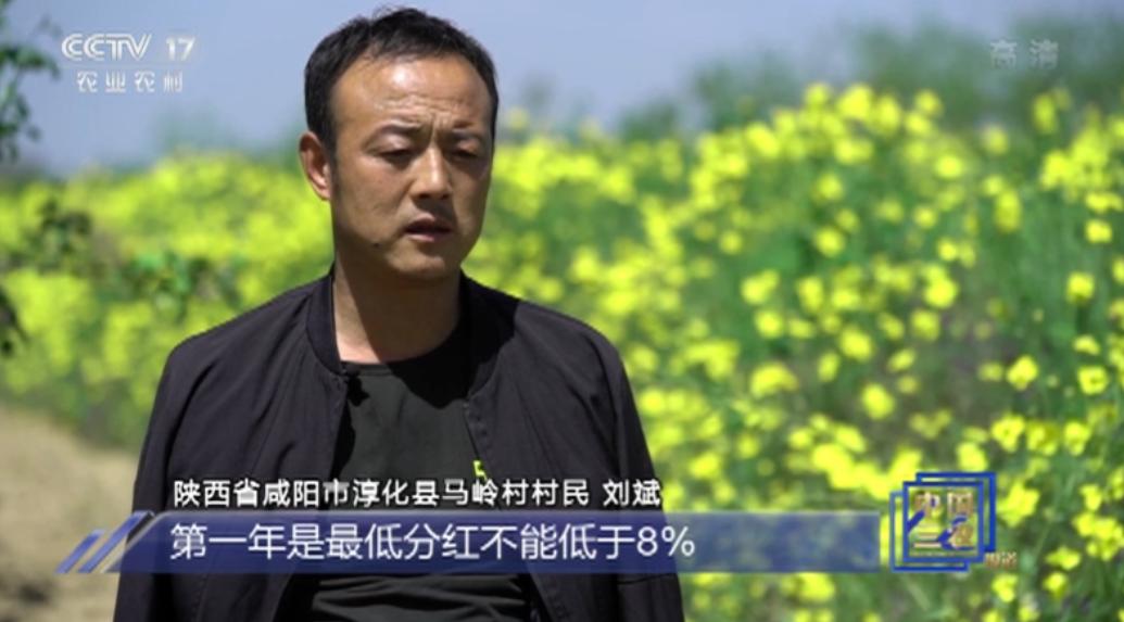2003 年，上门女婿刘斌因意外失去双臂，并丢掉工作，随后又被妻子一家扫地出门。