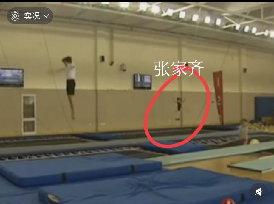 这个图，看得我心里一揪。
那个一点点的小身影，竟然是张家齐。

这么个小娃娃，本