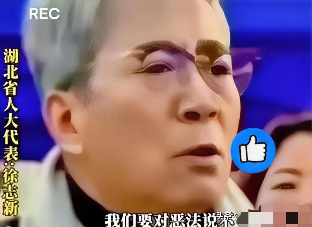 湖北省人大代表徐志新发言：农民杀猪不能到城里杀的，是“恶法”！

农民杀年猪，图