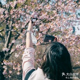 大话匣爱品科技