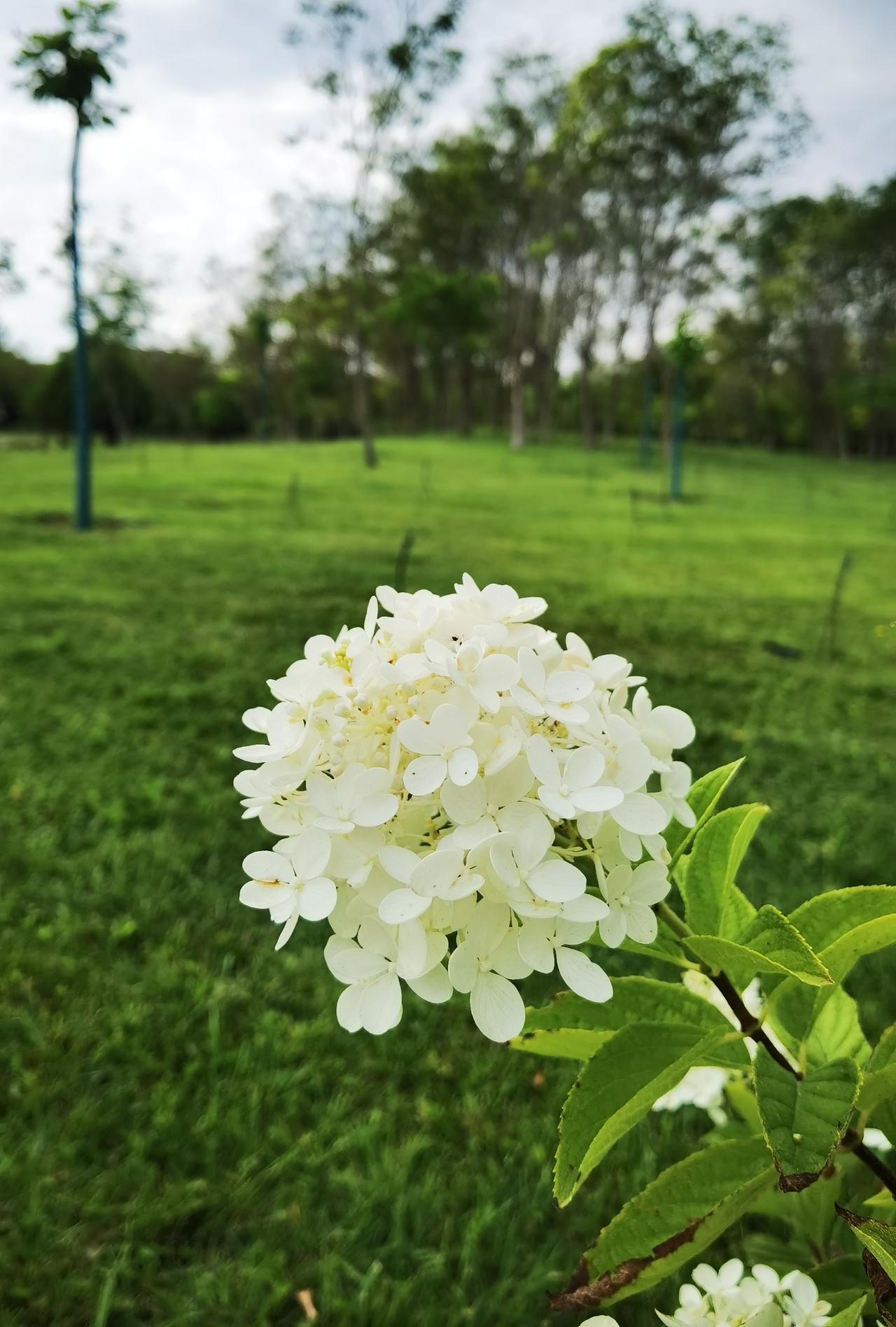 病人临终时在医院好还是在家里好？
我四婶住院期间，每天靠打点滴维持生命，医生建议