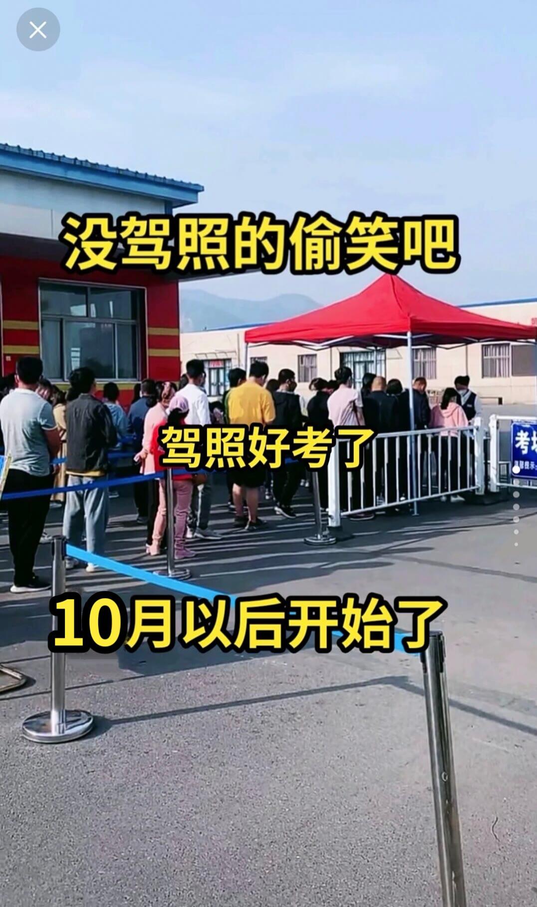 逢考必过 科一科四速成答题技巧 驾校学车 科目一科目四理论 考驾照