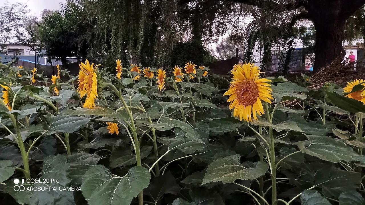 主动体检不是什么好事。因为人体自身有强大的免疫功能。没有什么状况，还是不要去没病