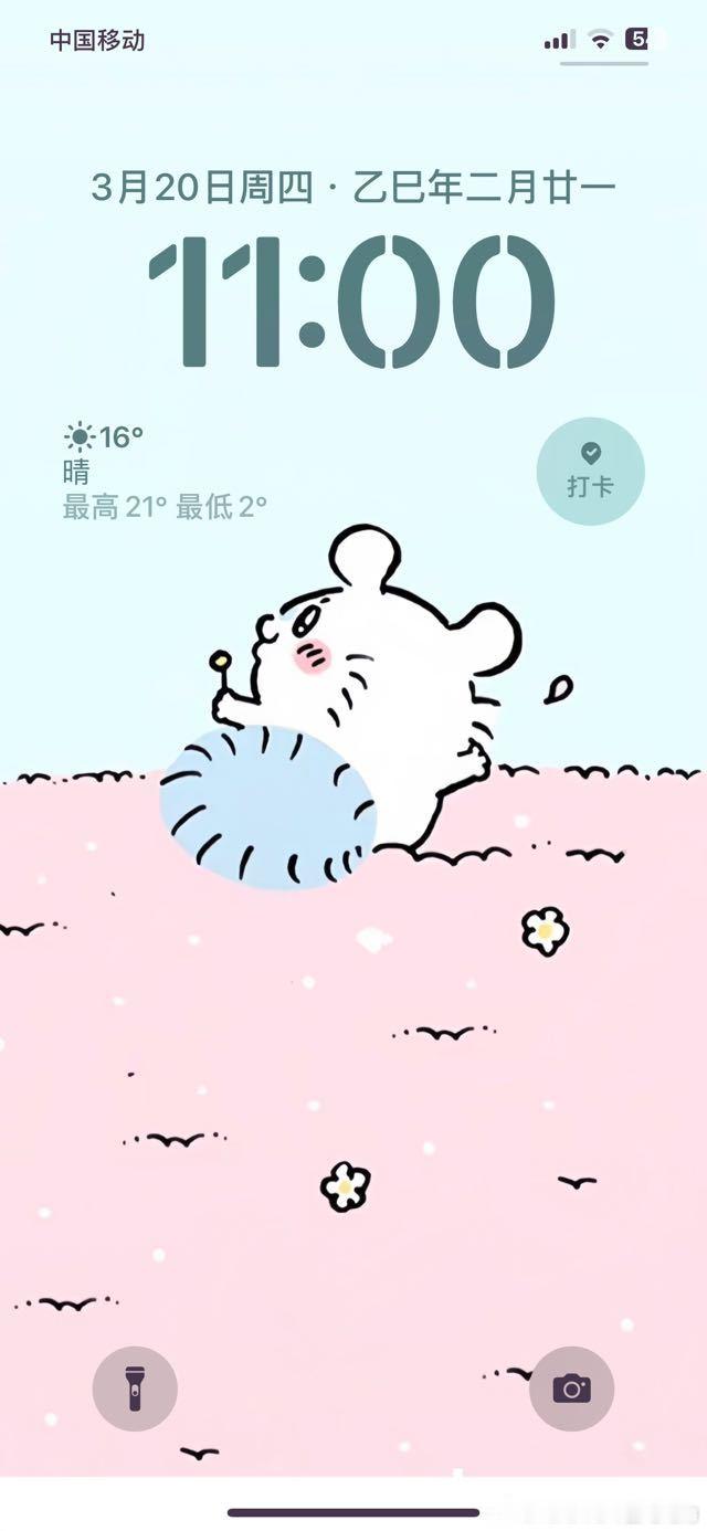 每次打开手机心就被萌化了呀 我们猪儿是治愈小天使😇😇😇17085 ​​​