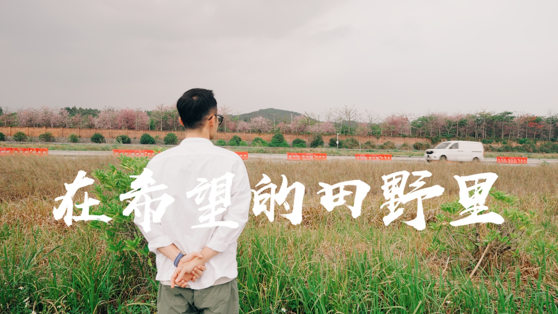 我和汽车的日常好多车anycar 罗密欧同款轮毂 