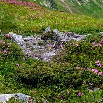 每日一善‎每日一善 ‎阳光‎信用 人生的路经历过，才知道有短有长；岁月，在无憾中