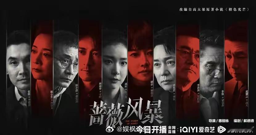 《蔷薇风暴》首播好评如潮，连追6集后，我要说：这部商战剧必爆 