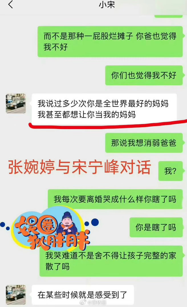 宋宁峰想找张婉婷当他妈妈宋宁峰想让张婉婷当他妈妈宋宁峰张婉婷谈离婚的时候，宋宁峰