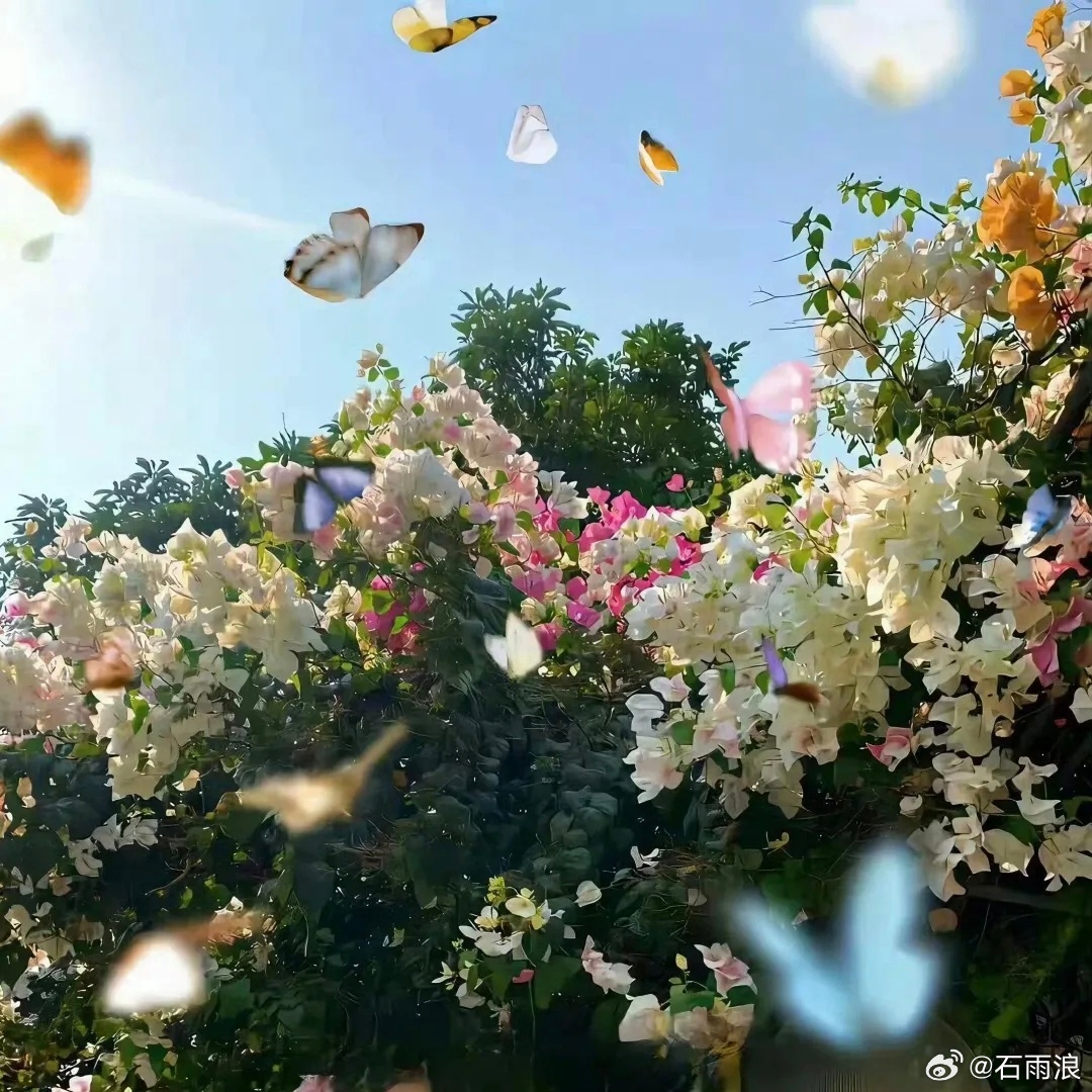 “我不想懂那么多道理，我只想被偏爱一次而已”我到底有多少东西生活碎片治愈情感心灵