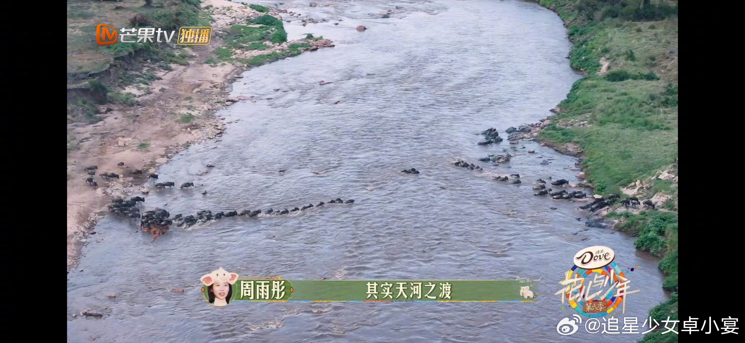 周雨彤我会更用力地活着 从自然的动物迁徙到对于生命的探讨，周姐既尊重自然又觉得生