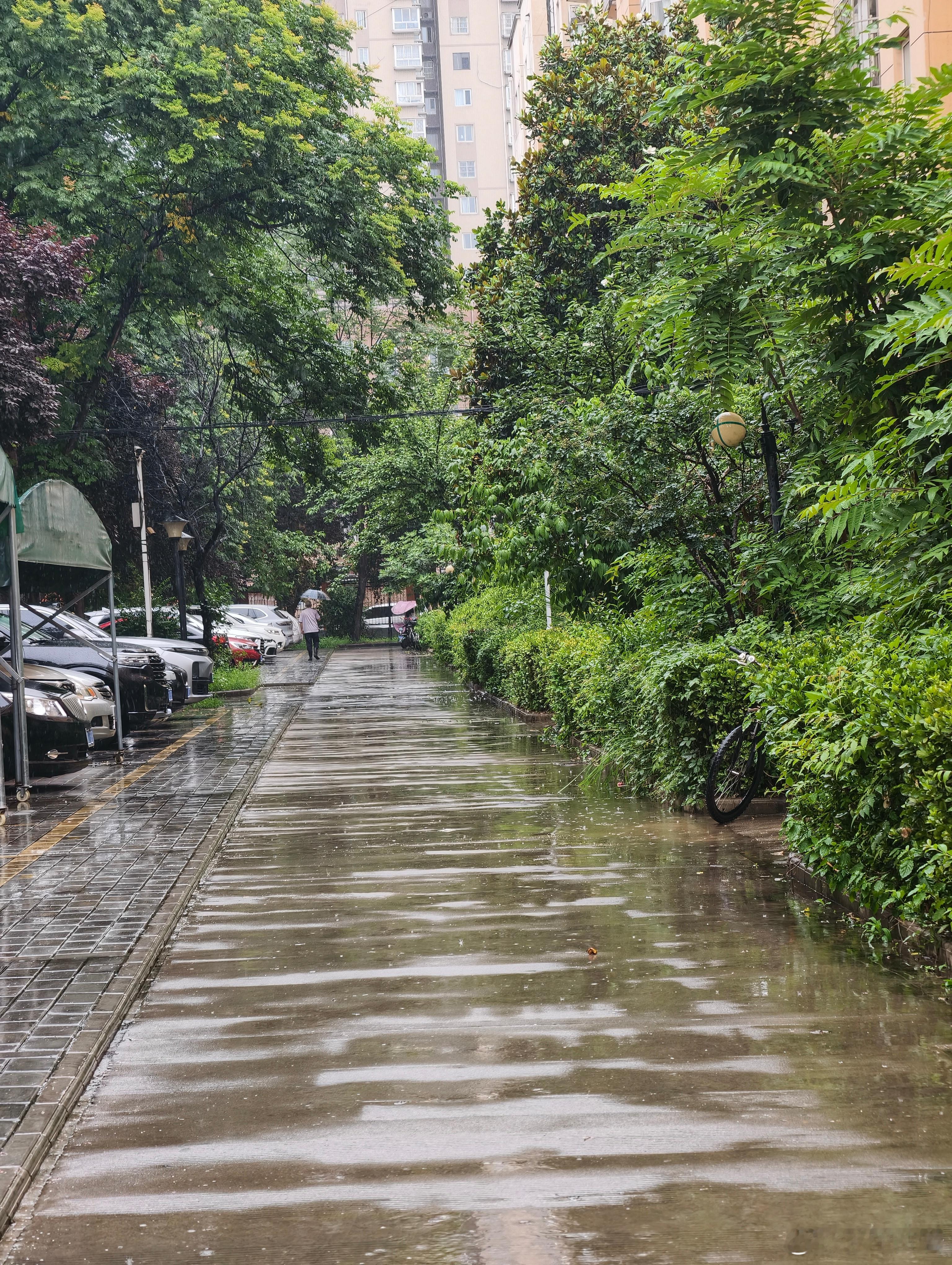 夏至逢骤雨，消尽暑气长。 