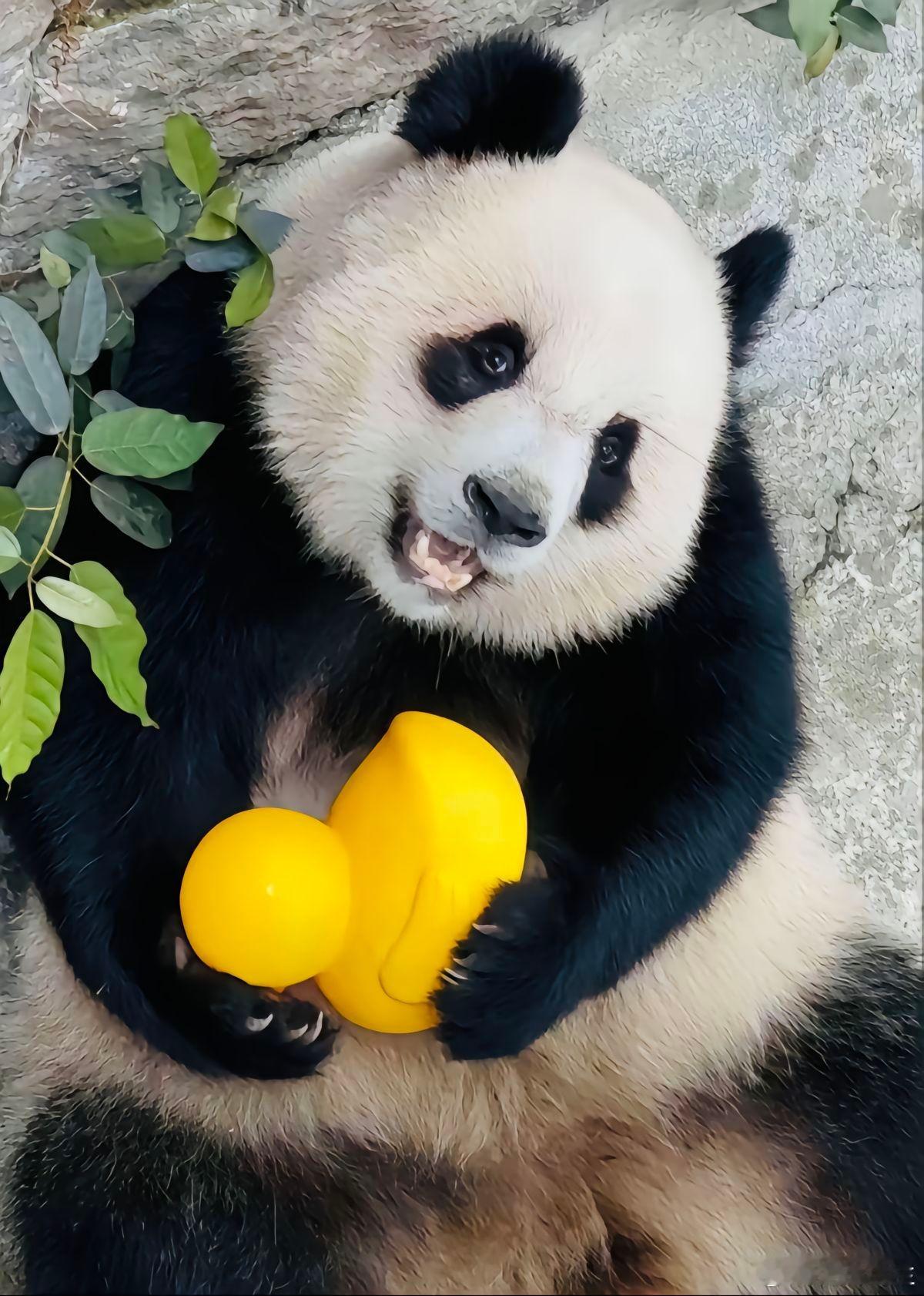 渝爱不管你变成什么样子，姨姨都爱你！你是姨姨的心尖尖上的宝贝 