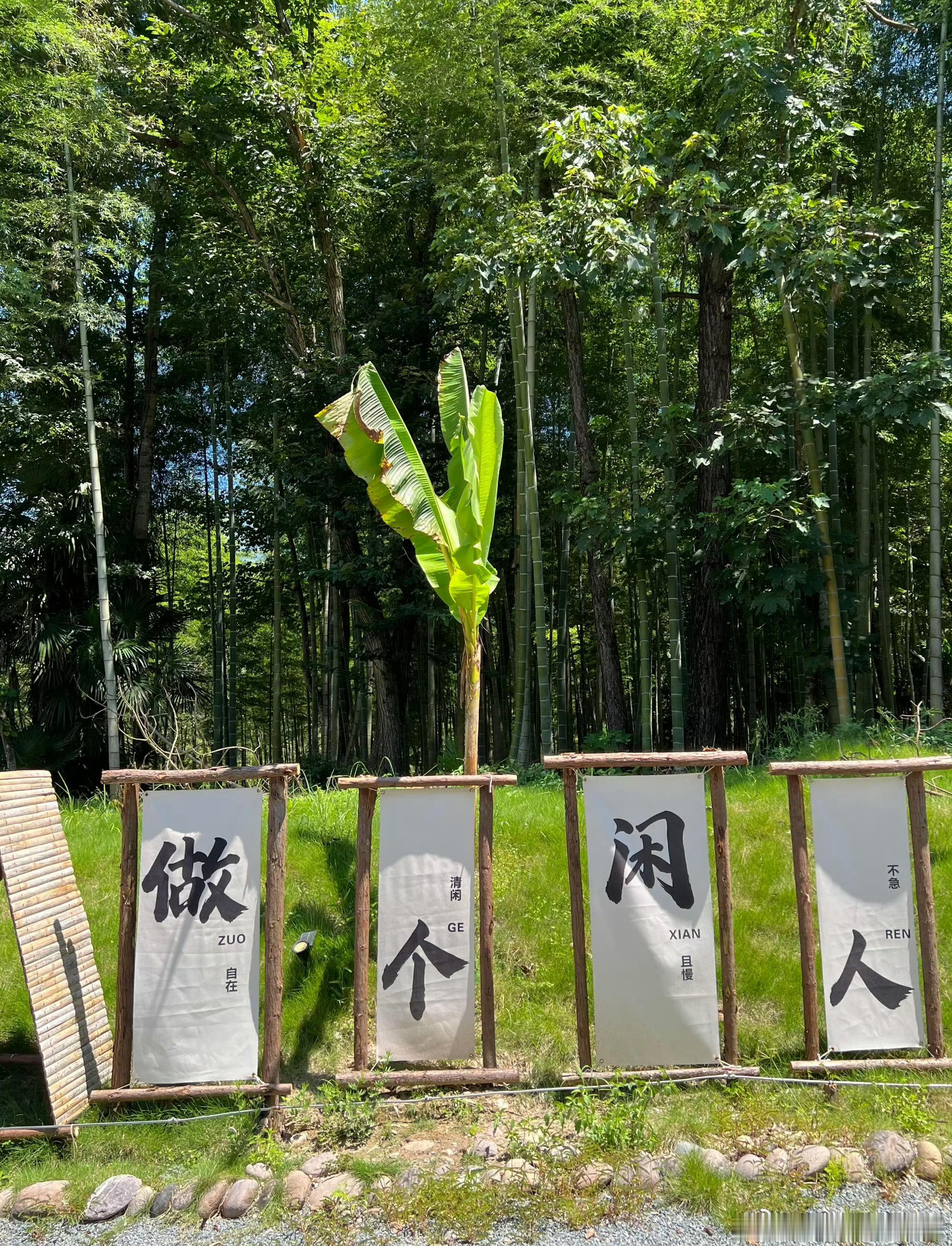 分享出自胡涂医的“夜行太保”法，主治抑郁等情志病，对高血压、糖尿病、脂肪肝等也有