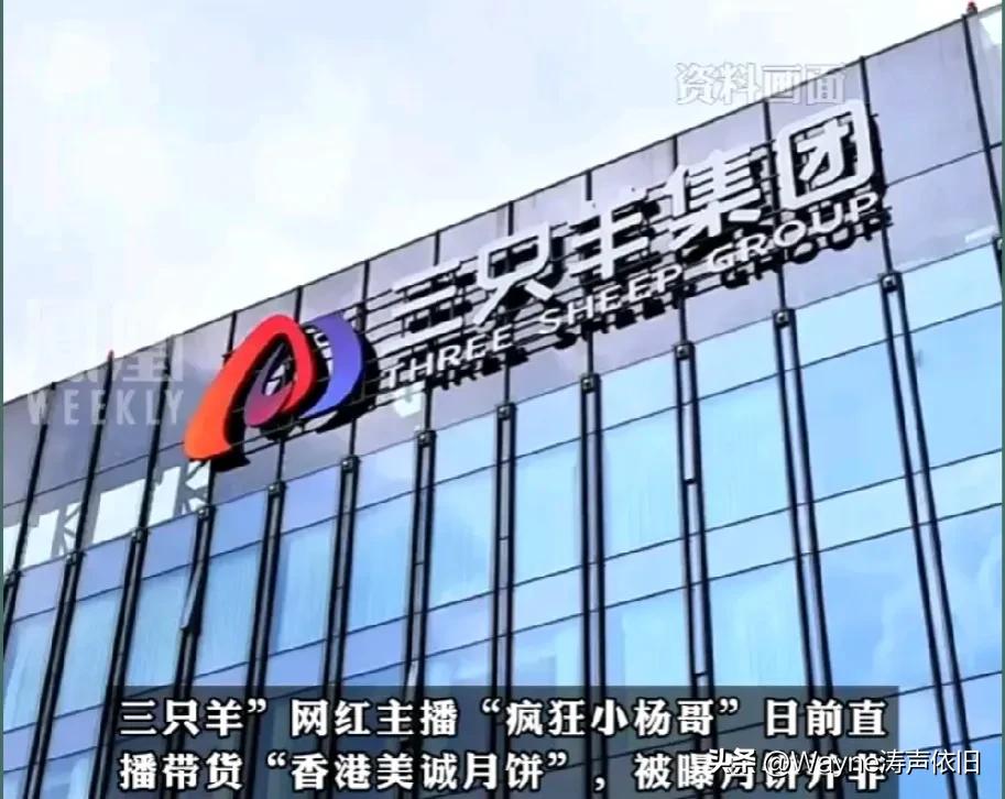 合肥三只羊卢老板喝醉了酒后吐真言，相必大家都有所了解了吧？弱弱地问一句，卢老板说