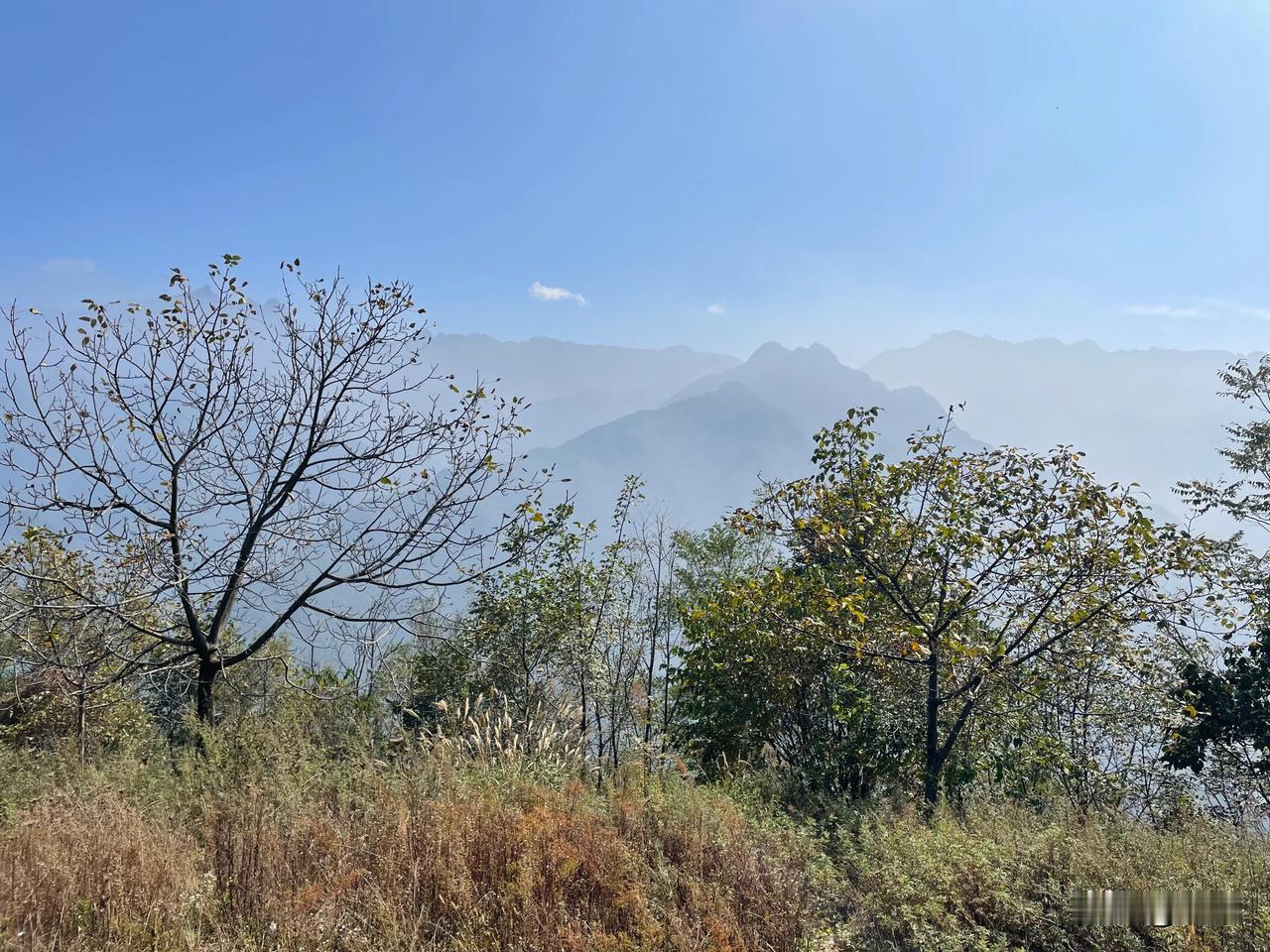 【七律•圭峰山顶望长安】
圭峰山顶望长安，雾淡云轻画眼前。
沃土良田峦万万，高楼