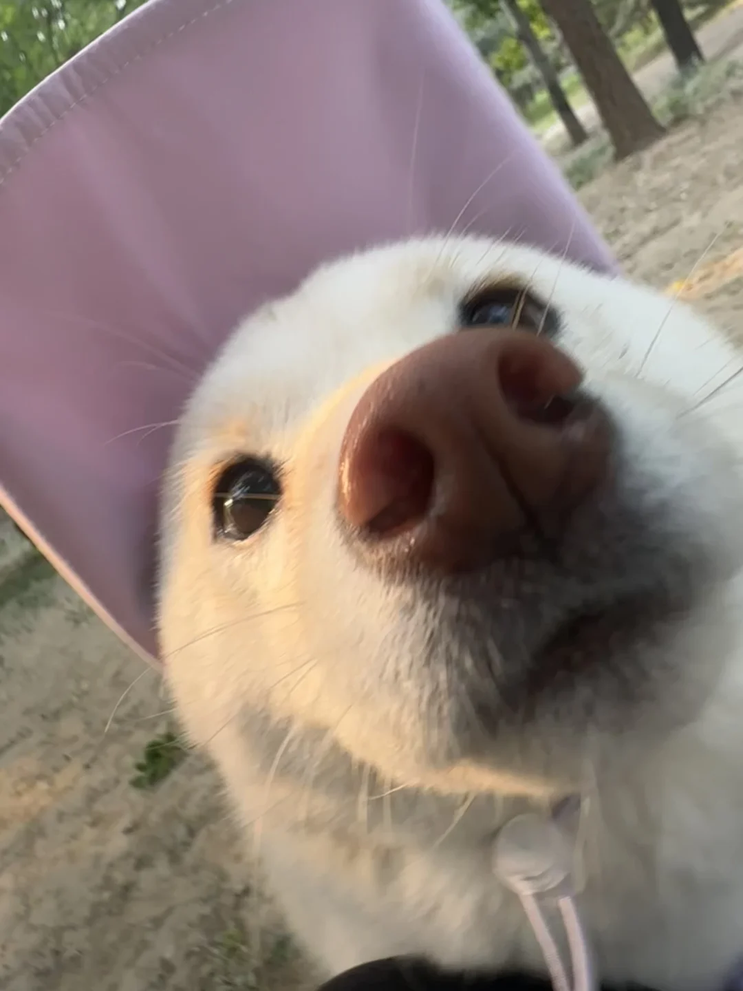 ee你在干森莫