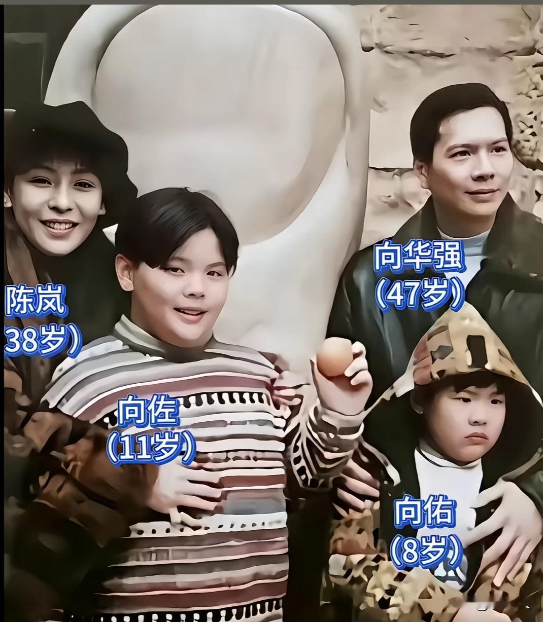 向佐童年时和父母、以及弟弟一张温馨的合影，小时候的向佐还是一个胖子。向华强英俊潇
