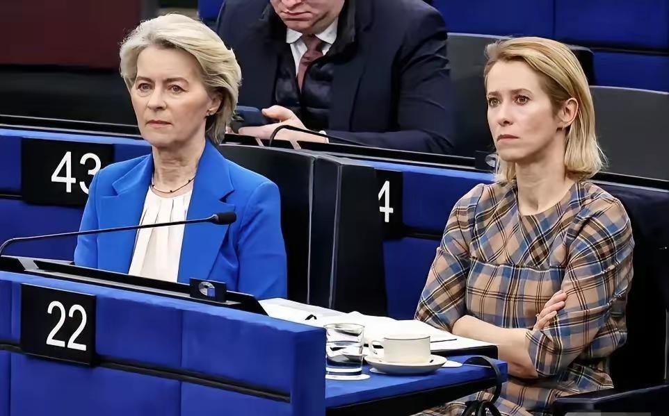 “冷美人”遭冷遇！伊朗又成她俩的“眼中钉”！在遭到西班牙议员当头棒喝后，人称“冷