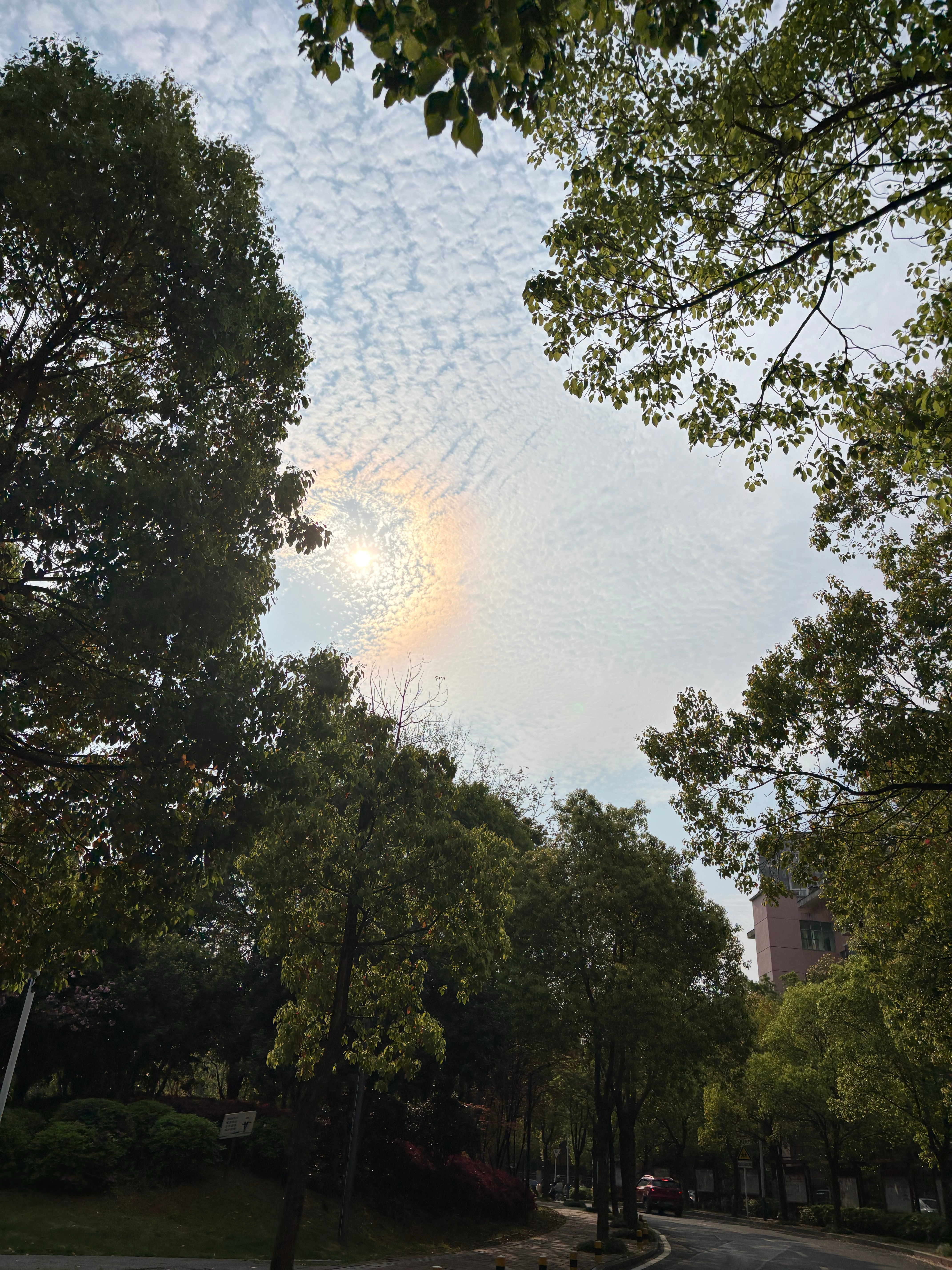 湖南终于等来大晴天了☀️ 