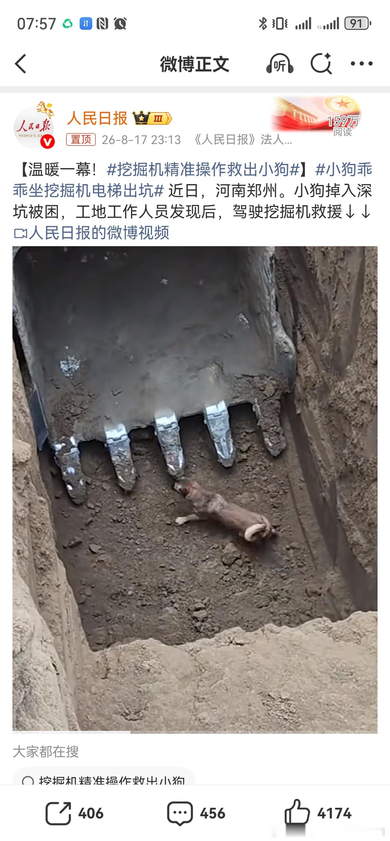 小狗乖乖坐挖掘机电梯出坑人民日报，发这类温馨，其实意义重大。 
