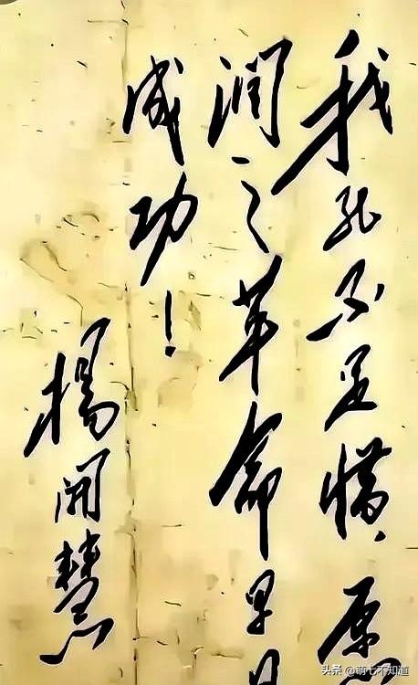 看到杨开慧烈士就义前的书法真迹瞬间破防了！

这位革命女性的笔锋刚劲如铁，字里行