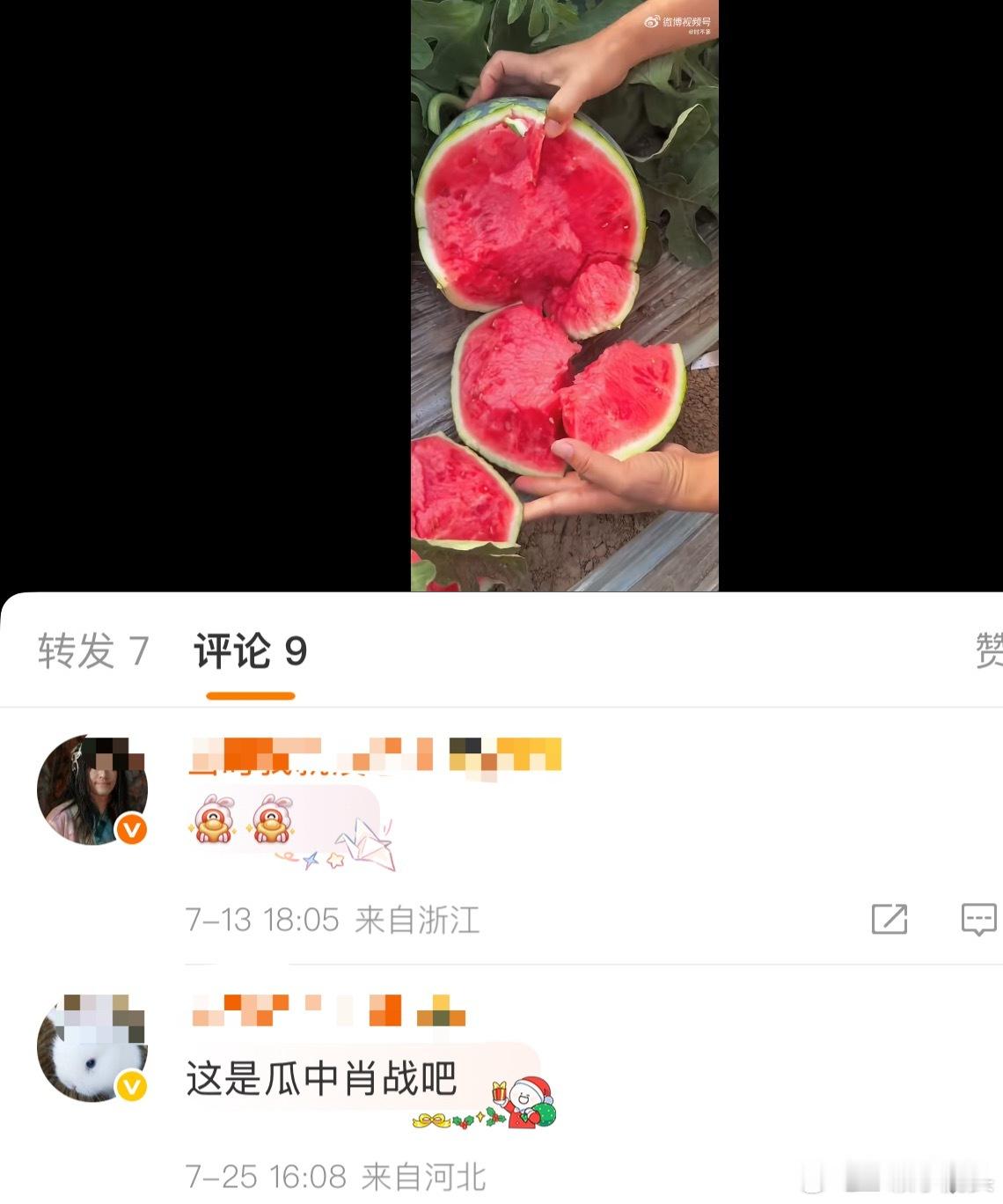 我什么时候能买到瓜中肖战[柯基] 上次买的一个西瓜太熟，里面都烂了。 ​​​
