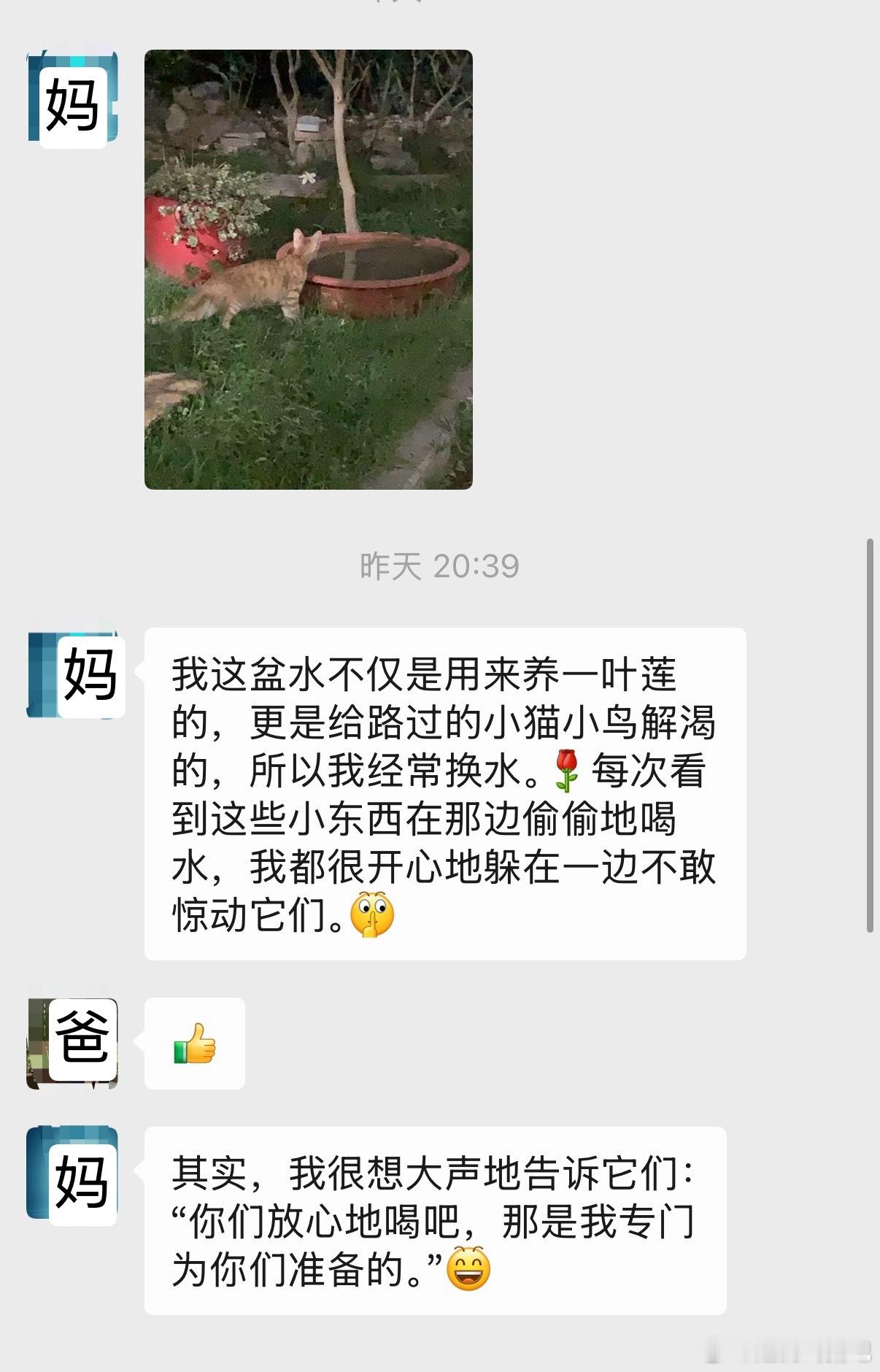 我妈还蛮萌的………… 