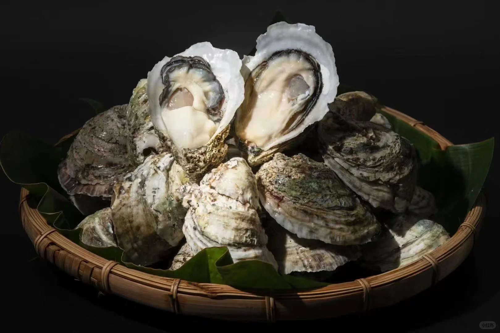 中国🇨🇳🦪蚝都—湛江 鲜美湛江 来湛江吃蚝