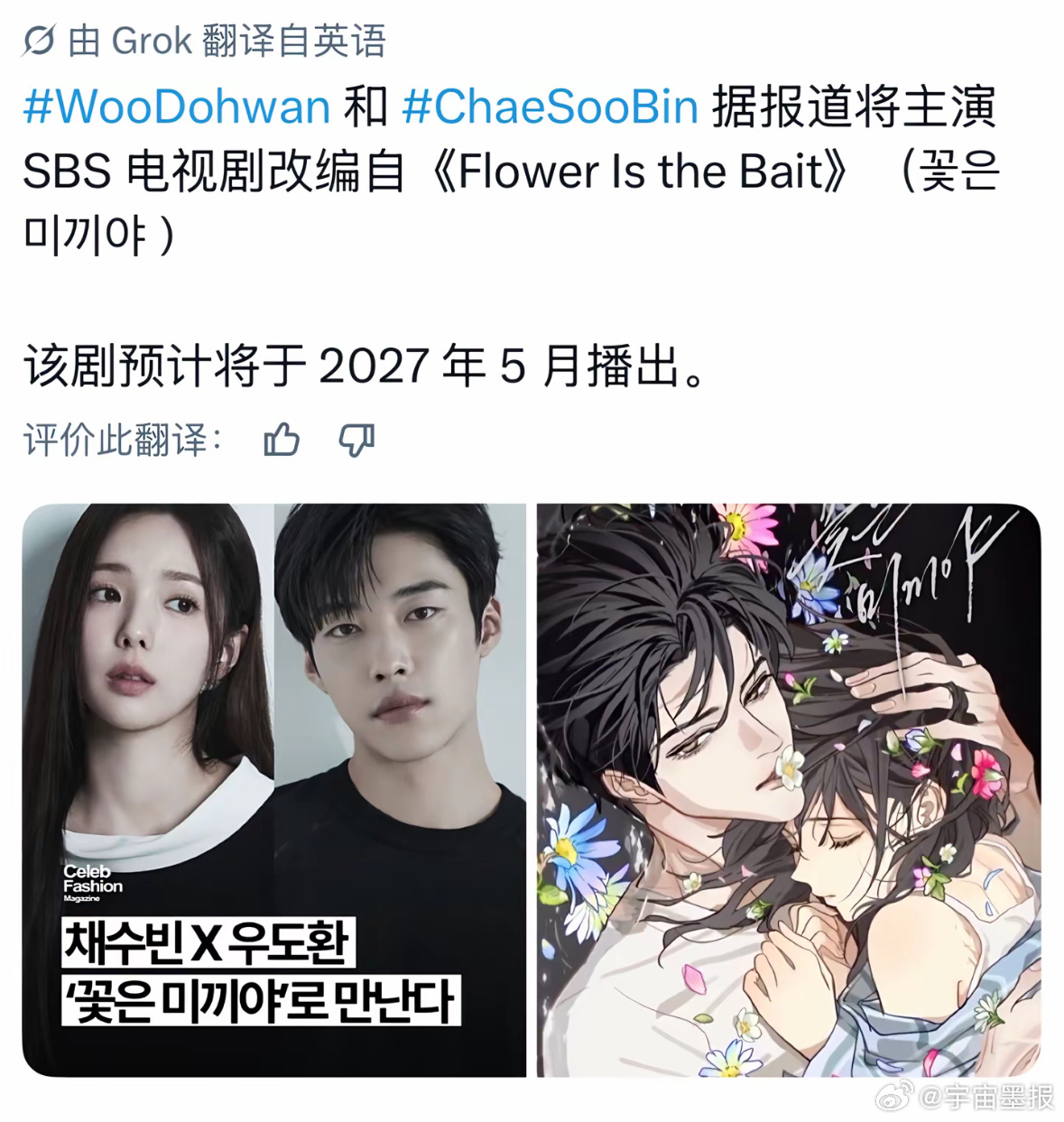 期待呀！花是诱饵真的好看呀！ 