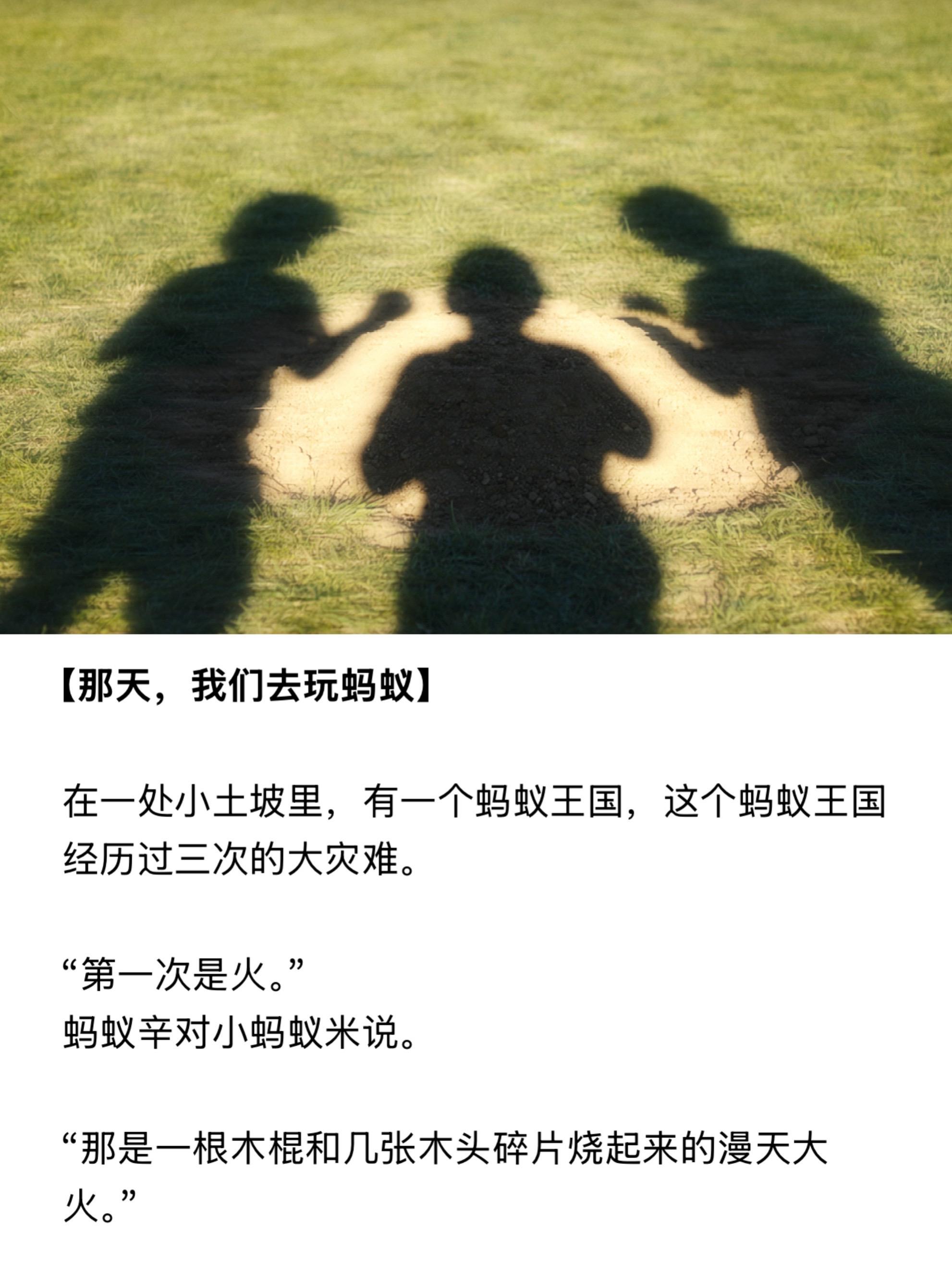 那天，我们去玩蚂蚁。做了一个怪梦，醒来居然还记得。