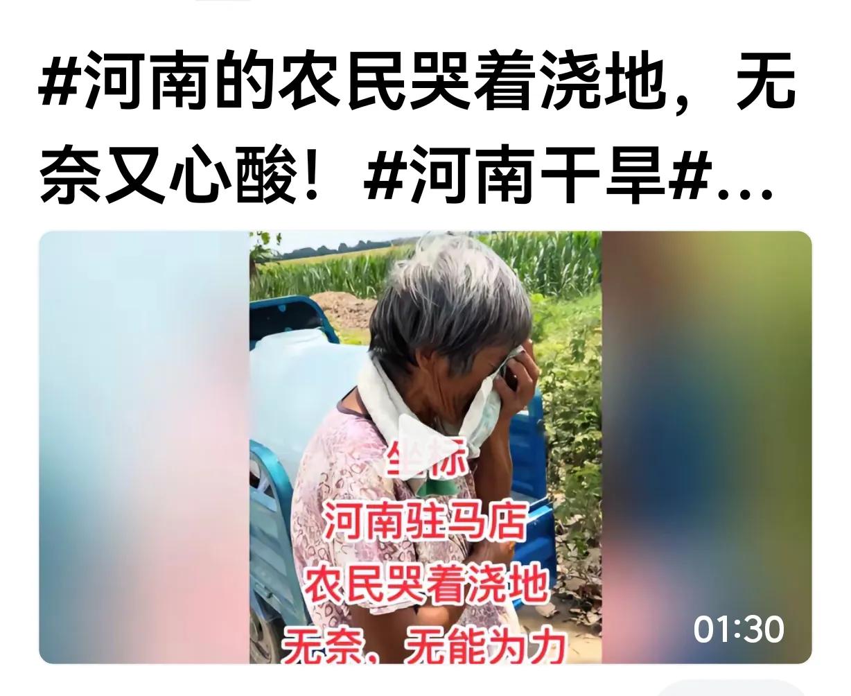 今天下午我看了一个河南农村老太太浇地的视频，老人家一边说一边哭一边擦着眼泪，看得