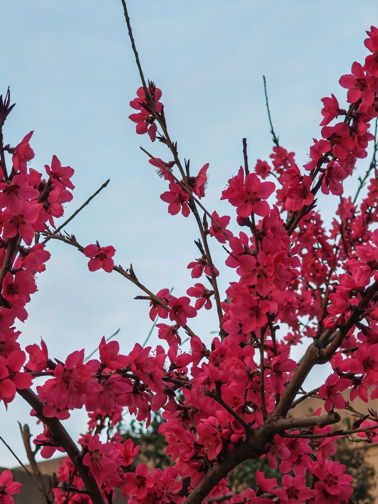 秦始皇是中国历史上第一个皇帝。那么，谁是中国历史上第一个太上皇呢？是汉高帝刘邦的