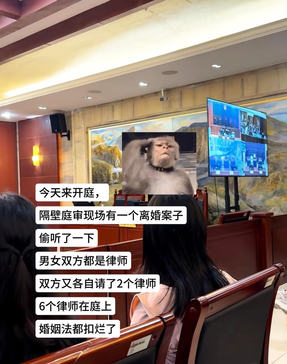 假如败诉，别人找他俩辩护的时候：“别找他，他连自己的离婚案子都没胜诉[笑cry]