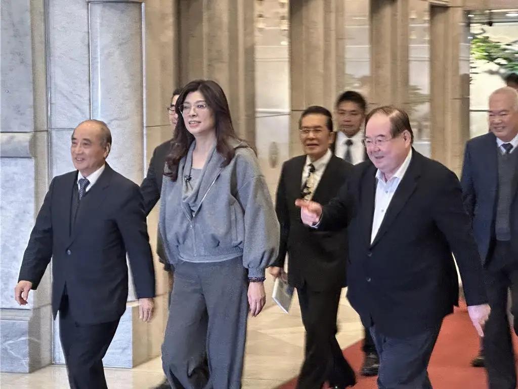 郑丽文正式聘请王金平出任国民党最高顾问，王金平表示，他期许能解决朝野对立问题、促