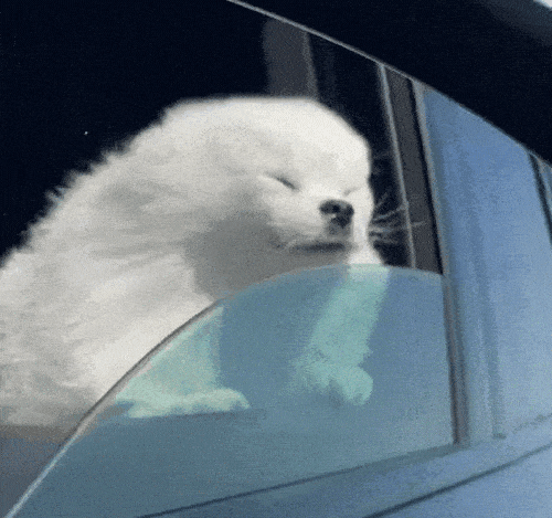 过年的气息越来越香甜了