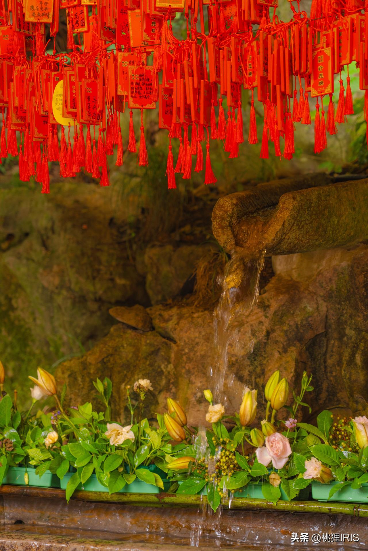 比起灵隐寺，我更喜欢它隔壁更小众的永福寺。
 再过段时间，等红枫乍起，请一定去永