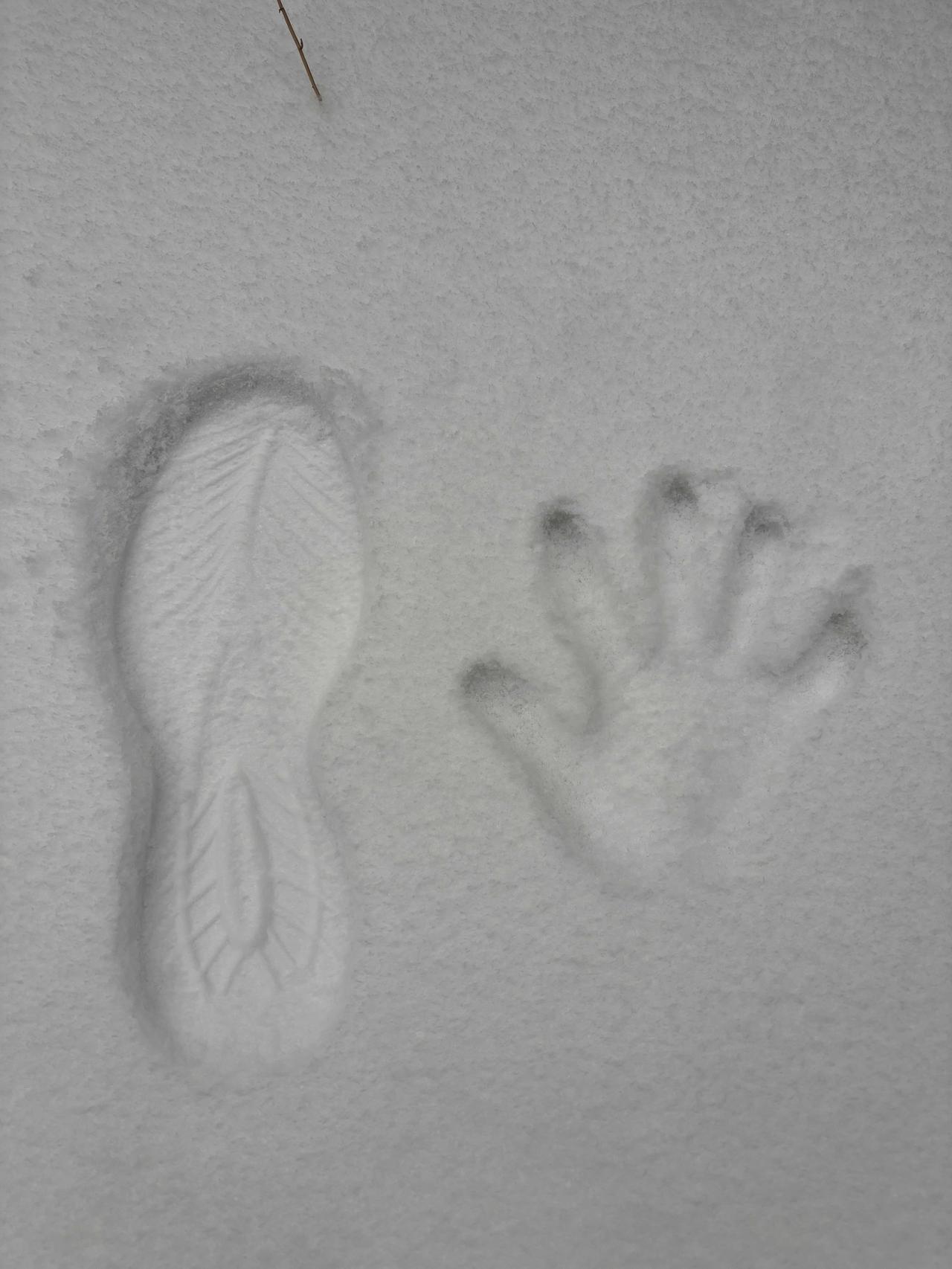 在雪地里印下自己的手脚印