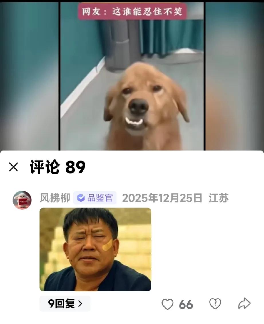 太像了，笑死个人！
[捂脸][捂脸][捂脸]