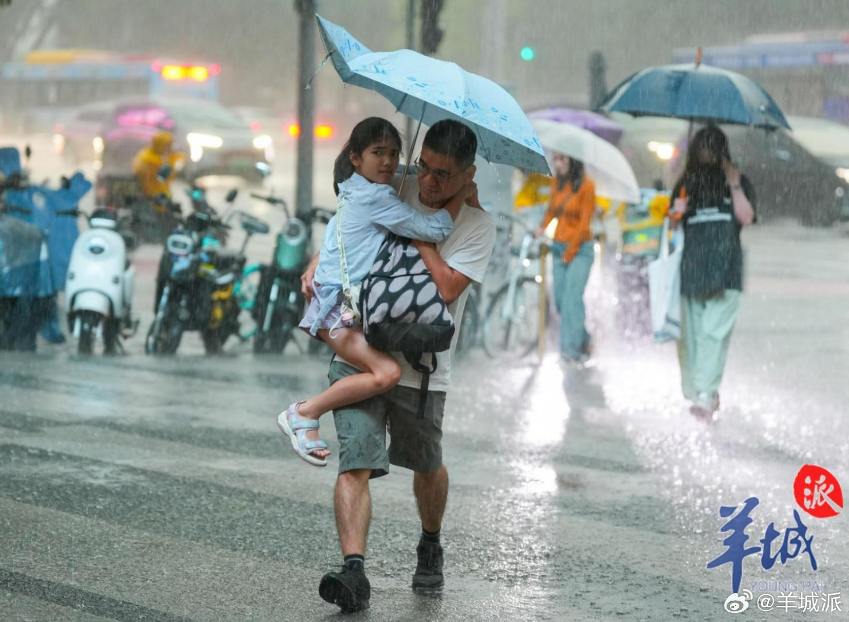 【今年以来广州雨量“历史同期第一多”，网友称遭遇“晾衣难”】今年以来广州的雨量 