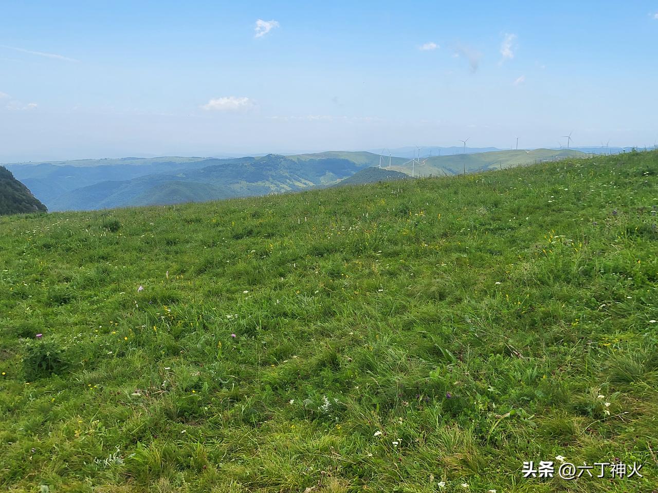 绿意盎然的山坡，风车点缀其间，大自然的宁静之美。