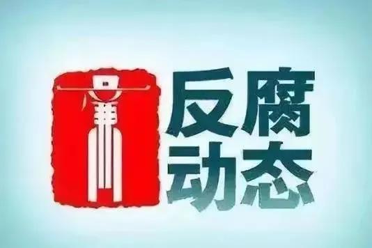 反腐力度有多大？
看了中纪委的通报,今年上半年光被处分的人员就有42万人。这还不