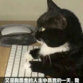 温如故不咕咕