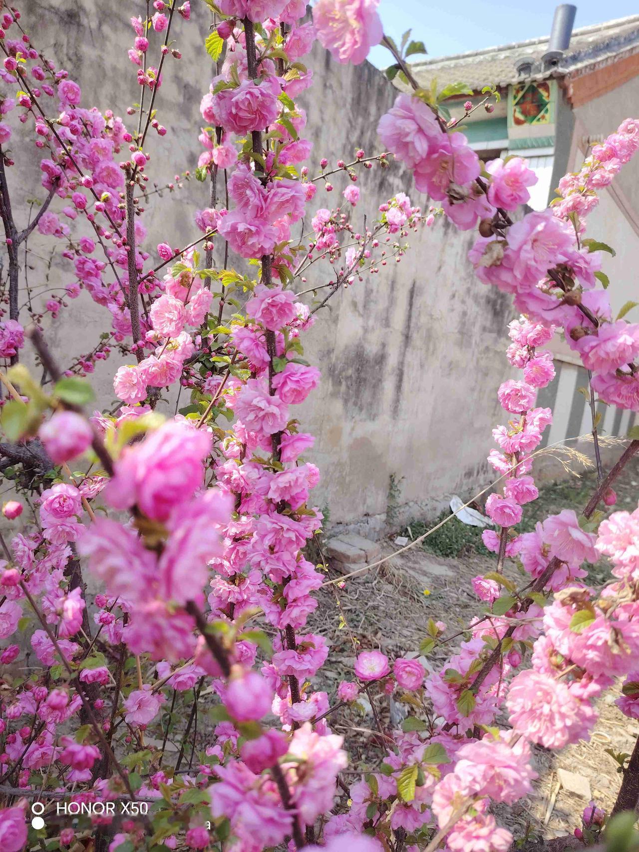 我的今日状态：💰期待暴富
我这里的天气：🌤️多云