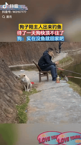安徽，一狗子陪主人出门钓鱼，没想到太阳快下山了，主人竟然一条鱼都没钓到，狗子感到