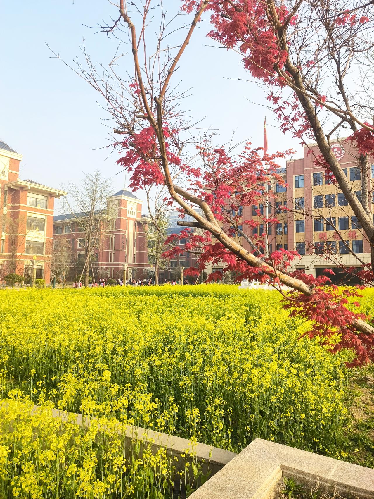 年轻的老师的课堂，有时候慌慌张张，匆匆忙忙完成一个环节，紧接着又进行另一人环节，