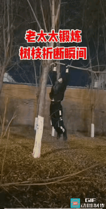 现在老年人健身的时候，健身广场有单杠不玩，就喜欢拿这些小树撒法子，对自己也不安全