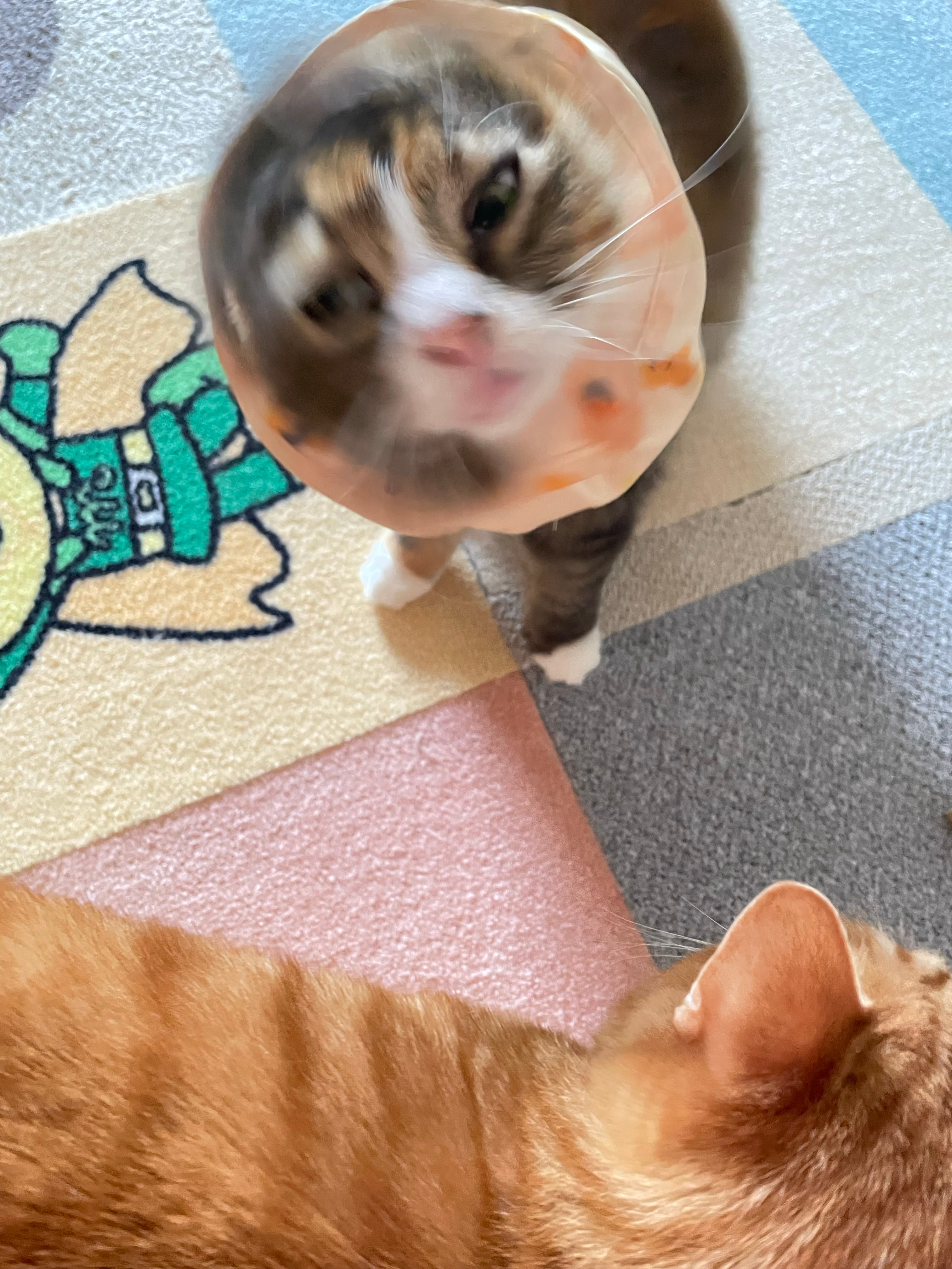 🤳 