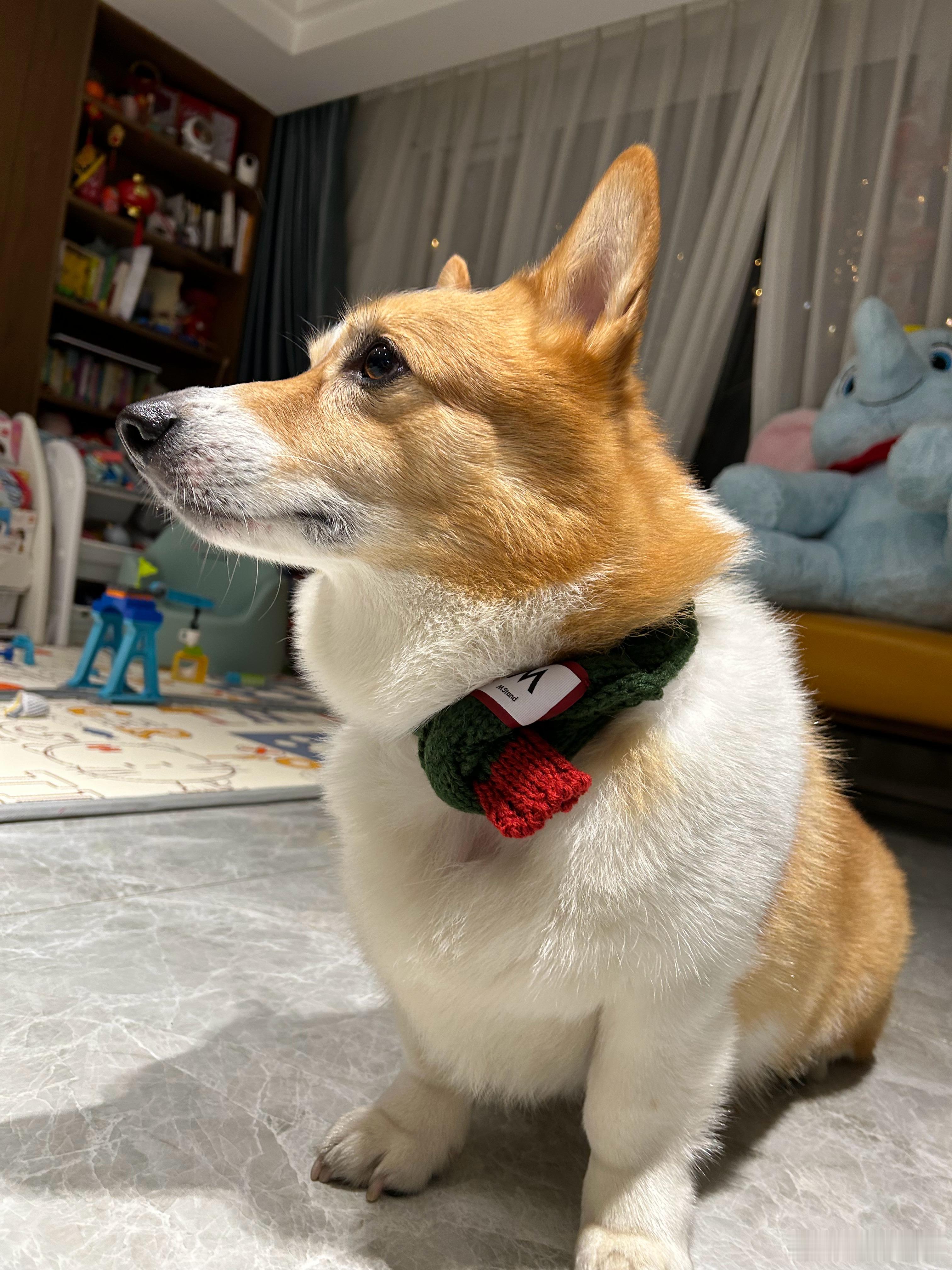 前几天呢，去地平线的北京年会，有很多非常有资历的老师，大家交流了很多内容。但是呢