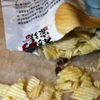 茶颜悦色这事儿看得人真的膈应，有网友在买的薯片里吃出了蟑螂干，本来好好的消费体验